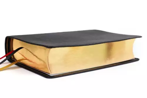 Nkjv, Thompson Chain-Reference Bible, Premium Goatskin Leather, Black, Premier Collection, Black Letter, Art Gilded Edges, Comfort Print