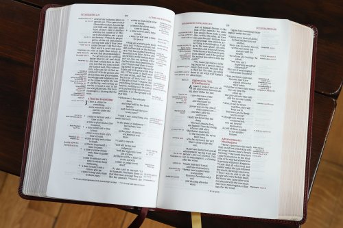 NIV, Thompson Chain-Reference Bible, Handy Size, Leathersoft, Burgundy, Red Letter, Comfort Print