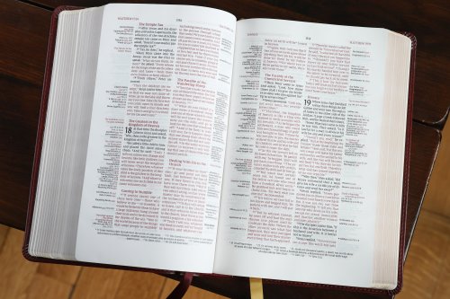 NIV, Thompson Chain-Reference Bible, Handy Size, Leathersoft, Burgundy, Red Letter, Comfort Print