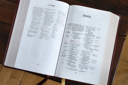 NIV, Thompson Chain-Reference Bible, Handy Size, Leathersoft, Burgundy, Red Letter, Comfort Print