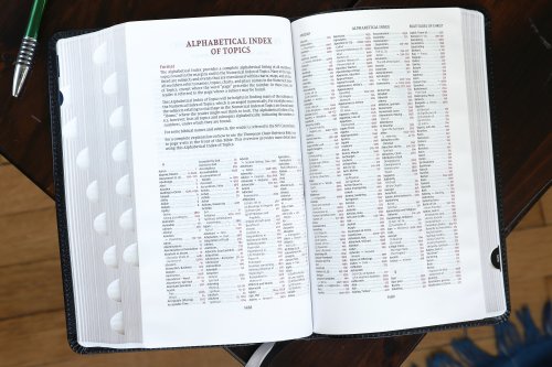 NIV, Thompson Chain-Reference Bible, Handy Size, European Bonded Leather, Black, Thumb Indexed, Red Letter, Comfort Print