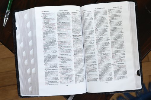 NIV, Thompson Chain-Reference Bible, Handy Size, European Bonded Leather, Black, Thumb Indexed, Red Letter, Comfort Print