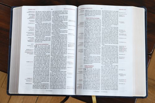 NIV, Thompson Chain-Reference Bible, Large Print, Leathersoft, Navy, Red Letter, Comfort Print