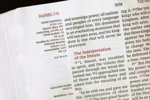 NIV, Thompson Chain-Reference Bible, Large Print, European Bonded Leather, Black, Thumb Indexed, Red Letter, Comfort Print