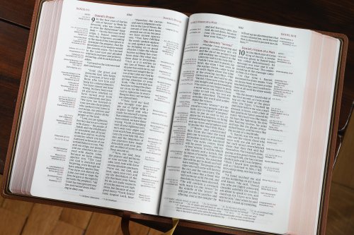 NIV, Thompson Chain-Reference Bible, Large Print, Genuine Leather, Cowhide, Brown, Red Letter, Art Gilded Edges, Comfort Print