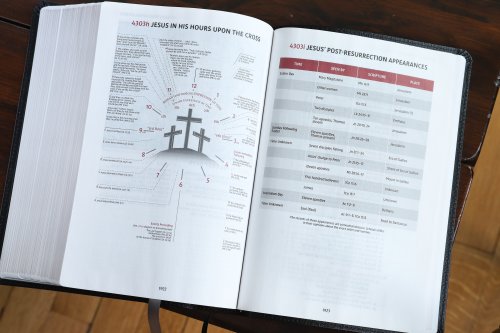 NIV, Thompson Chain-Reference Bible, European Bonded Leather, Black, Red Letter, Comfort Print