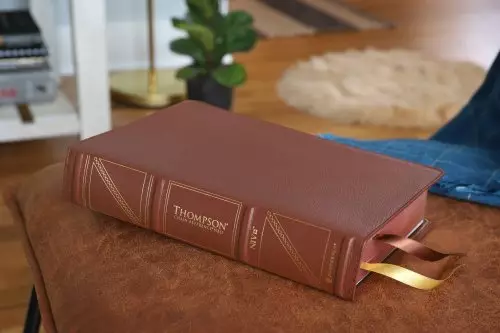 NIV, Thompson Chain-Reference Bible, Genuine Leather, Buffalo, Brown, Red Letter, Art Gilded Edges, Comfort Print