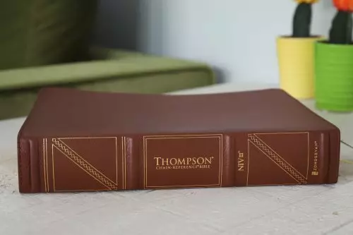 NIV, Thompson Chain-Reference Bible, Genuine Leather, Buffalo, Brown, Red Letter, Art Gilded Edges, Comfort Print