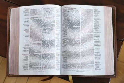 NIV, Thompson Chain-Reference Bible, Genuine Leather, Buffalo, Brown, Red Letter, Art Gilded Edges, Comfort Print