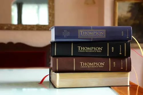 Nasb, Thompson Chain-Reference Bible, Leathersoft, Brown, Red Letter, 1977 Text