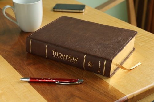 ESV, Thompson Chain-Reference Bible, Leathersoft, Brown, Red Letter