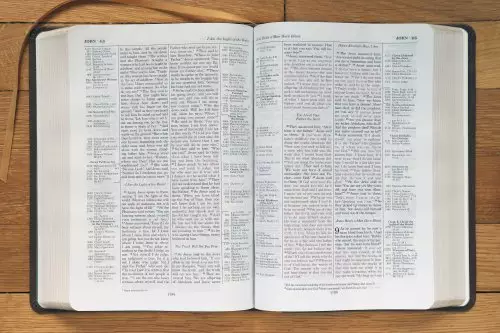 ESV, Thompson Chain-Reference Bible, Leathersoft, Brown, Red Letter