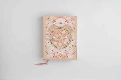 The Jesus Bible Artist Edition, ESV, (With Thumb Tabs to Help Locate the Books of the Bible), Leathersoft, Peach Floral, Thumb Indexed