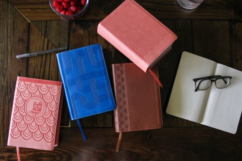 NIrV, Giant Print Compact Bible, Leathersoft, Peach, Comfort Print