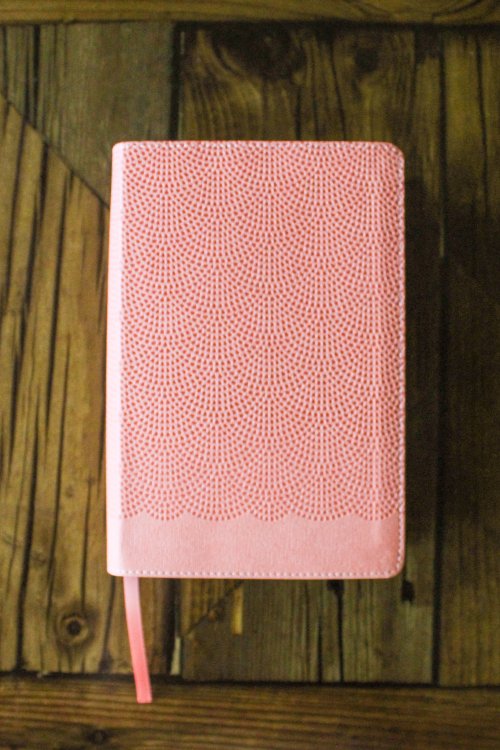 NIrV, Giant Print Compact Bible, Leathersoft, Peach, Comfort Print