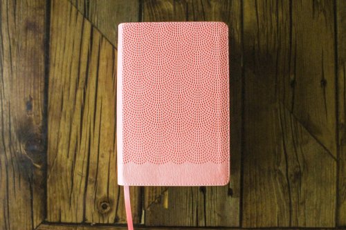 NIrV, Giant Print Compact Bible, Leathersoft, Peach, Comfort Print