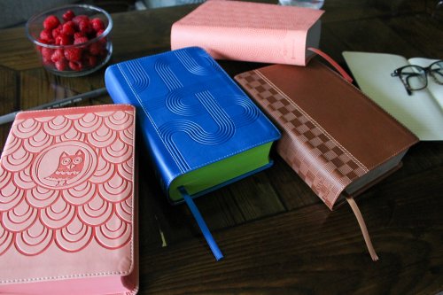 NIrV, Giant Print Compact Bible, Leathersoft, Peach, Comfort Print