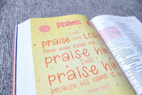 NIrV, Radiant Virtues Bible for Girls: A Beautiful Word Collection, Hardcover, Magnetic Closure, Comfort Print