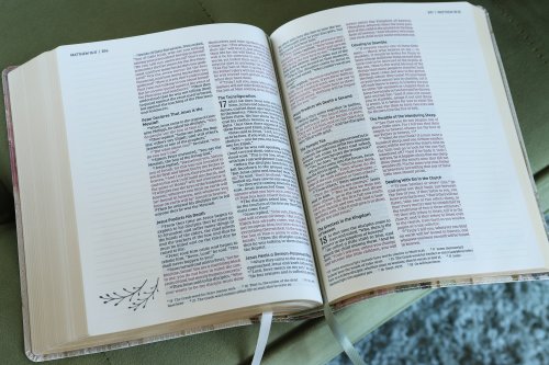 NIV, Artisan Collection Bible, Leathersoft, Multi-color/Cream, Red Letter, Comfort Print