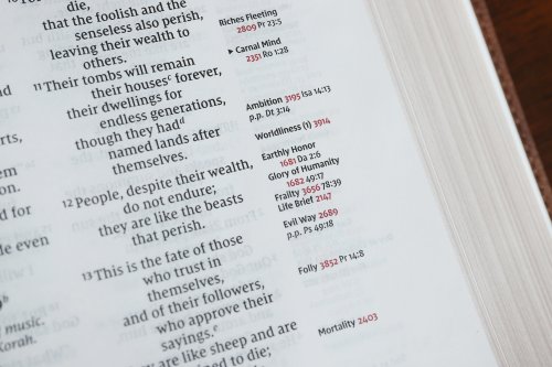 NIV, Thompson Chain-Reference Bible, Leathersoft, Brown, Red Letter, Comfort Print