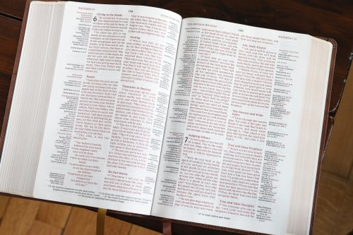 NIV, Thompson Chain-Reference Bible, Leathersoft, Brown, Red Letter, Comfort Print