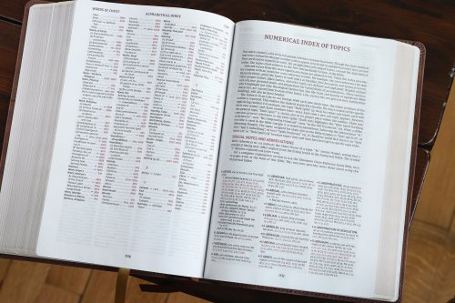 NIV, Thompson Chain-Reference Bible, Leathersoft, Brown, Red Letter, Comfort Print