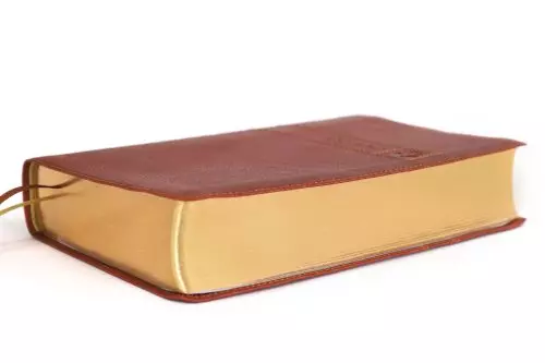 NIV Men's Devotional Bible, Leathersoft, Brown, Comfort Print