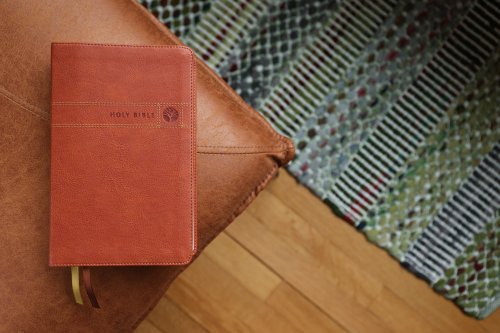 NIV Men's Devotional Bible, Leathersoft, Brown, Comfort Print