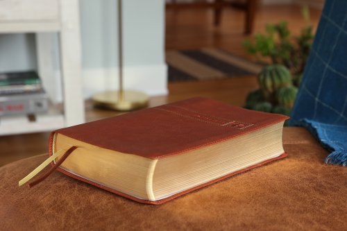 NIV Men's Devotional Bible, Leathersoft, Brown, Comfort Print