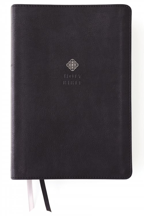 Niv, Men's Devotional Bible (by Men, for Men), Large Print, Leathersoft, Black, Comfort Print