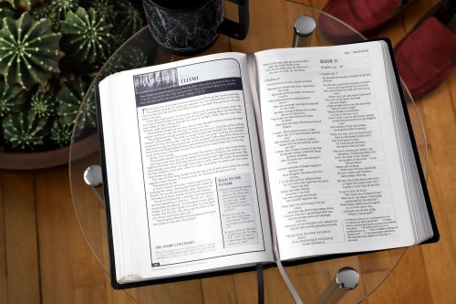 Niv, Men's Devotional Bible (by Men, for Men), Large Print, Leathersoft, Black, Comfort Print