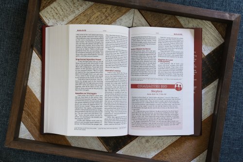 NKJV, Teen Study Bible, Hardcover, Comfort Print