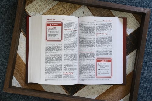 NKJV, Teen Study Bible, Hardcover, Comfort Print