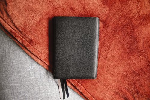 NIV, Wide Margin Bible (A Bible that Welcomes Note-Taking), Premium Goatskin Leather, Black, Premier Collection, Red Letter, Art Gilded Edges, Comfort Print