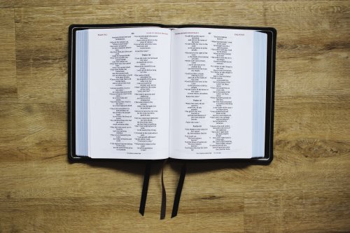 NIV, Wide Margin Bible (A Bible that Welcomes Note-Taking), Premium Goatskin Leather, Black, Premier Collection, Red Letter, Art Gilded Edges, Comfort Print