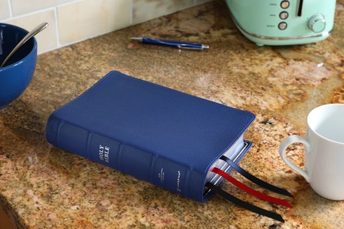 Niv, Side-Column Reference Bible (Deep Study at a Portable Size), Personal Size, Premium Goatskin Leather, Blue, Premier Collection, Art Gilded Edges,