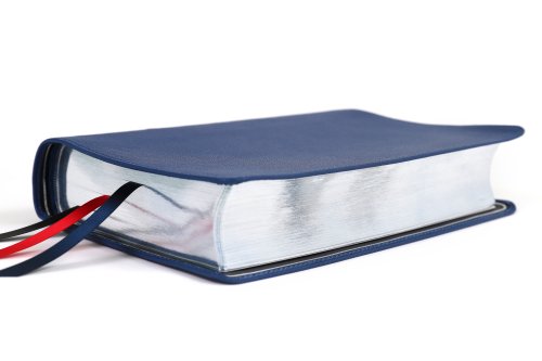 Niv, Side-Column Reference Bible (Deep Study at a Portable Size), Personal Size, Premium Goatskin Leather, Blue, Premier Collection, Art Gilded Edges,