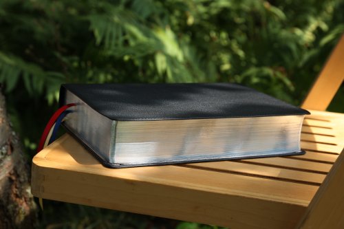 NIV, Life Application Study Bible, Third Edition, Genuine Leather, Cowhide, Black, Art Gilded Edges, Red Letter