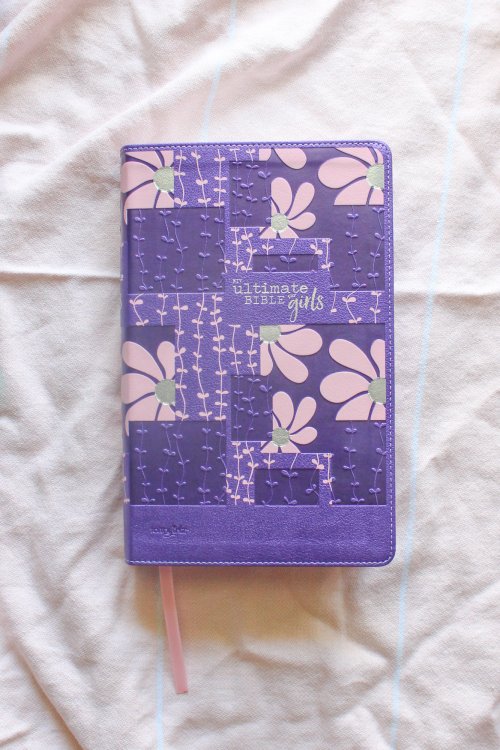 NIV, Ultimate Bible for Girls, Faithgirlz Edition, Leathersoft, Purple