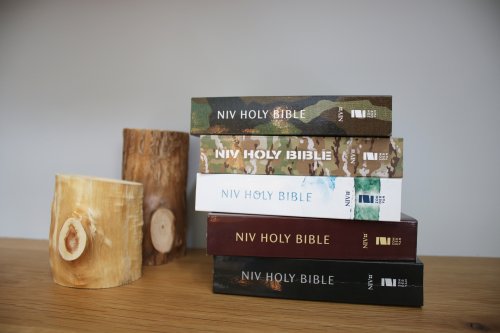 NIV, Holy Bible, Compact, Paperback, Multi-Color, Comfort Print