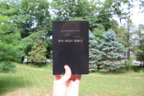 NIV, Holy Bible, Compact, Paperback, Black, Comfort Print