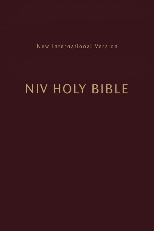 NIV, Holy Bible, Compact, Paperback, Burgundy, Comfort Print