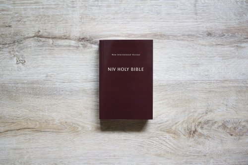 NIV, Holy Bible, Compact, Paperback, Burgundy, Comfort Print