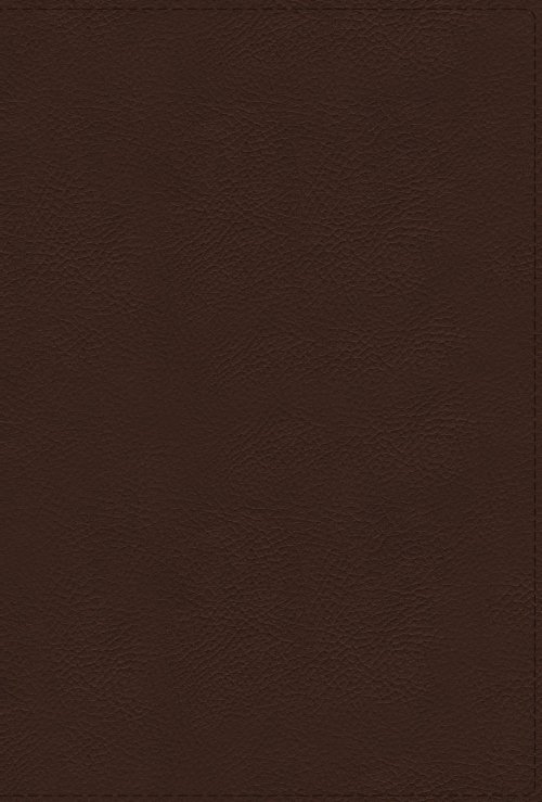 NRSVue, Holy Bible with Apocrypha, Leathersoft, Brown, Comfort Print