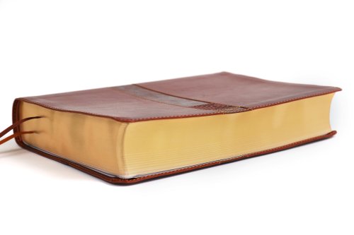 Niv, Student Bible, Leathersoft, Brown, Comfort Print