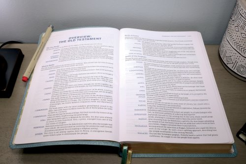 NIV Student Bible, Leathersoft, Teal, Comfort Print