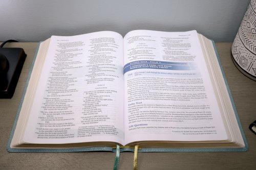 NIV Student Bible, Leathersoft, Teal, Comfort Print