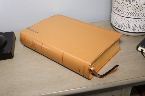 Niv, Student Bible, Personal Size, Leathersoft, Tan, Thumb Indexed, Comfort Print