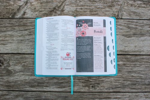 NIV, Ultimate Bible for Girls, Faithgirlz Edition, Leathersoft, Teal, Thumb Indexed Tabs