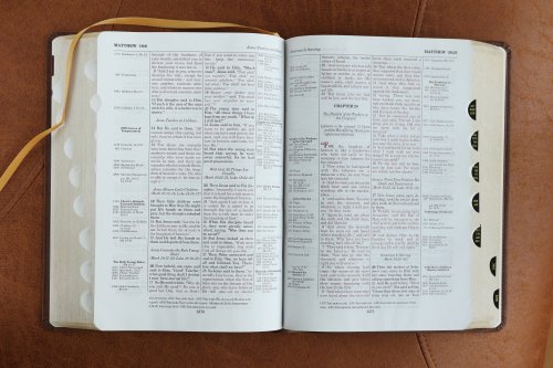 NKJV, Thompson Chain-Reference Bible, Leathersoft, Brown, Red Letter, Thumb Indexed